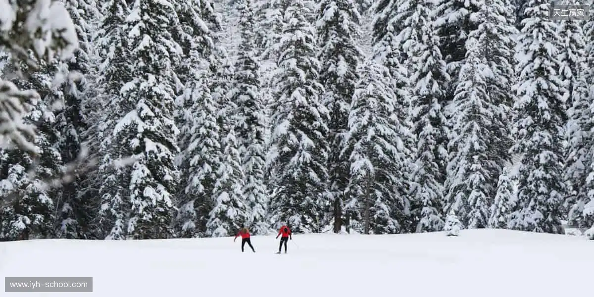 超清画质，仿佛置身现场👀🏟️